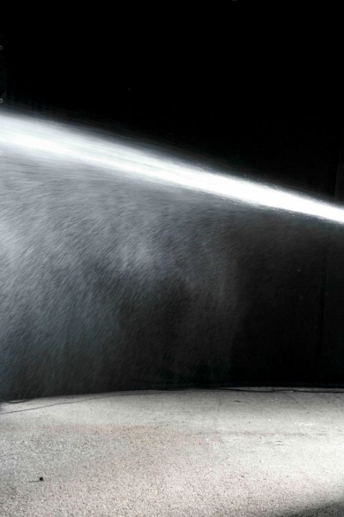 Sujet der Ausstellung